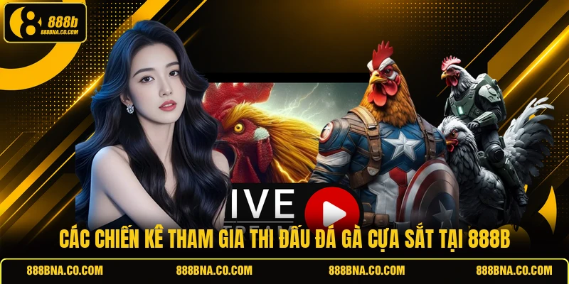 Các chiến kê tham gia thi đấu đá gà cựa sắt tại 888B