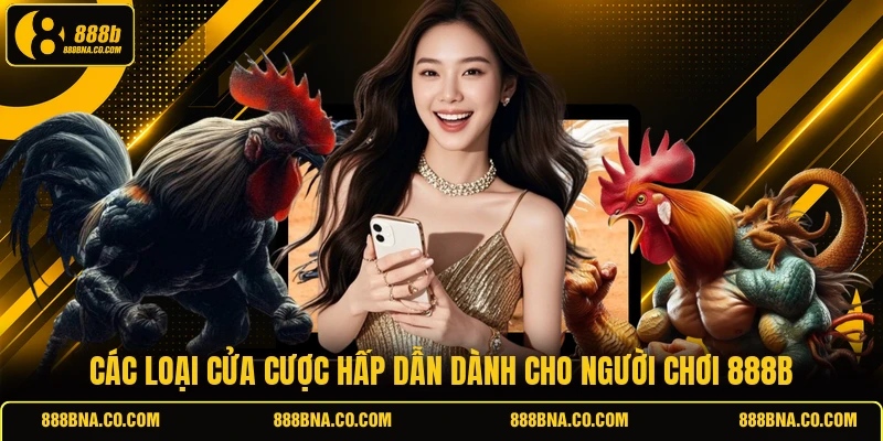 Các loại cửa cược hấp dẫn dành cho người chơi 888B