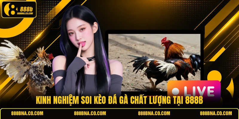 Kinh nghiệm soi kèo đá gà chất lượng tại 888B