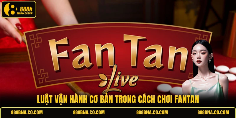 Luật vận hành cơ bản trong cách chơi Fantan