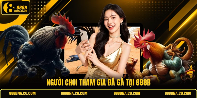 Người chơi tham gia đá gà tại 888B