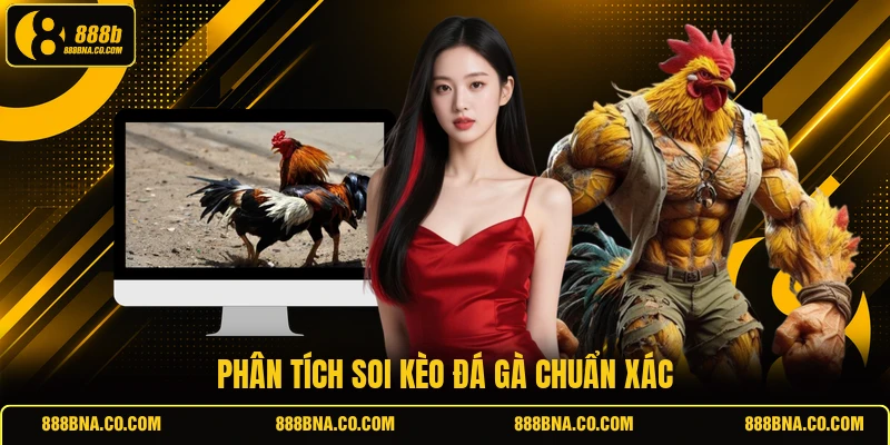 Phân tích soi kèo đá gà chuẩn xác