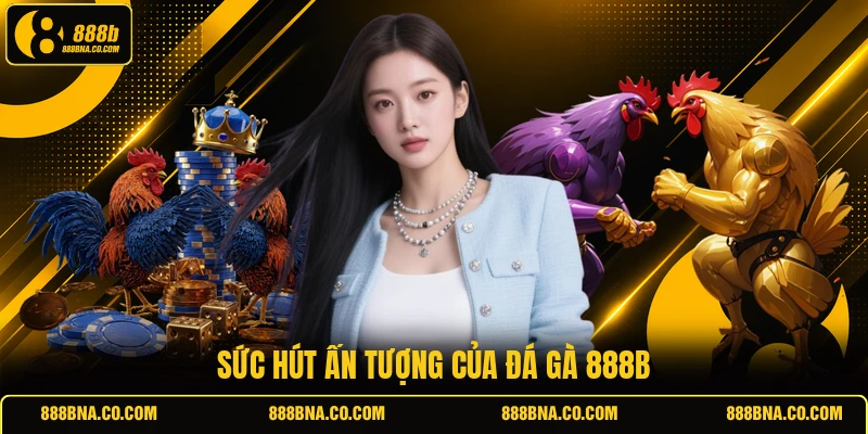 Sức hút ấn tượng của đá gà 888B